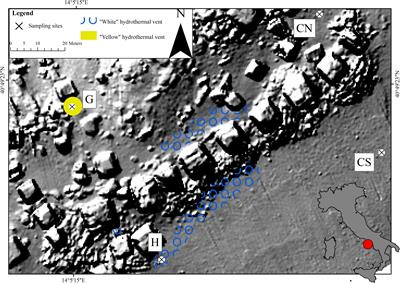 Environmental and Benthic Community Patterns of the Shallow Hydrothermal Area of Secca Delle Fumose (Baia, Naples, Italy)